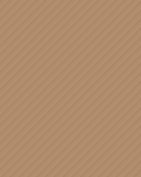 Placeholder — photo coming soon
